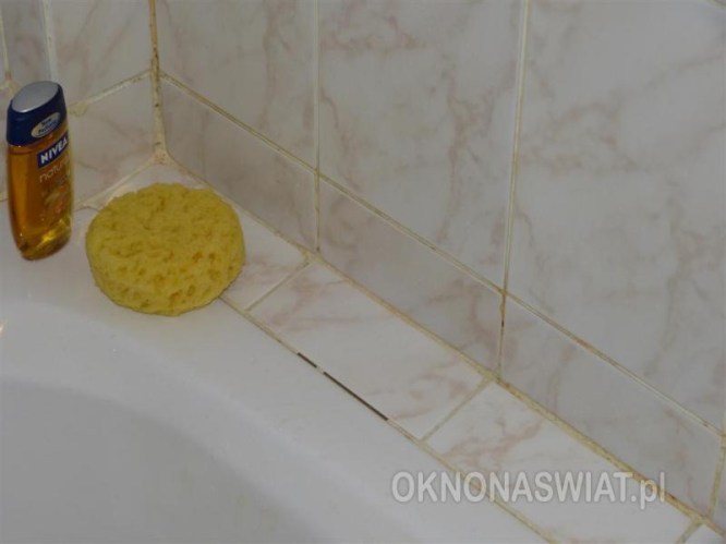 egipt blue reef reso46